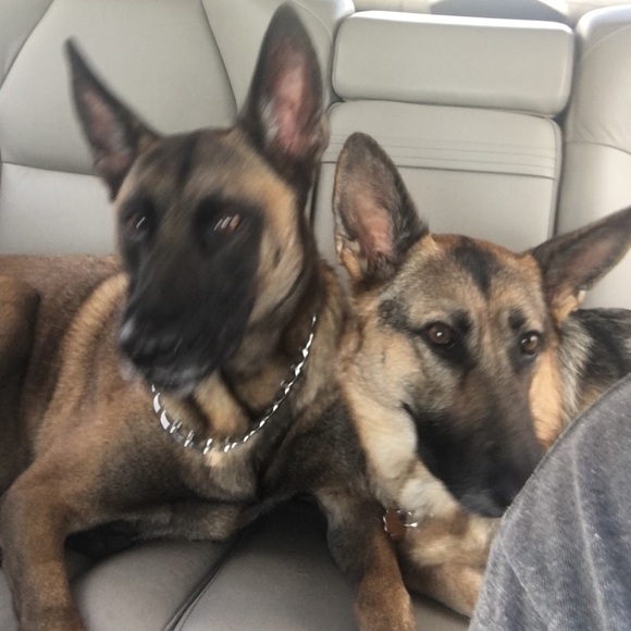 Meet your Posher, Jason - Picture 1 of 1